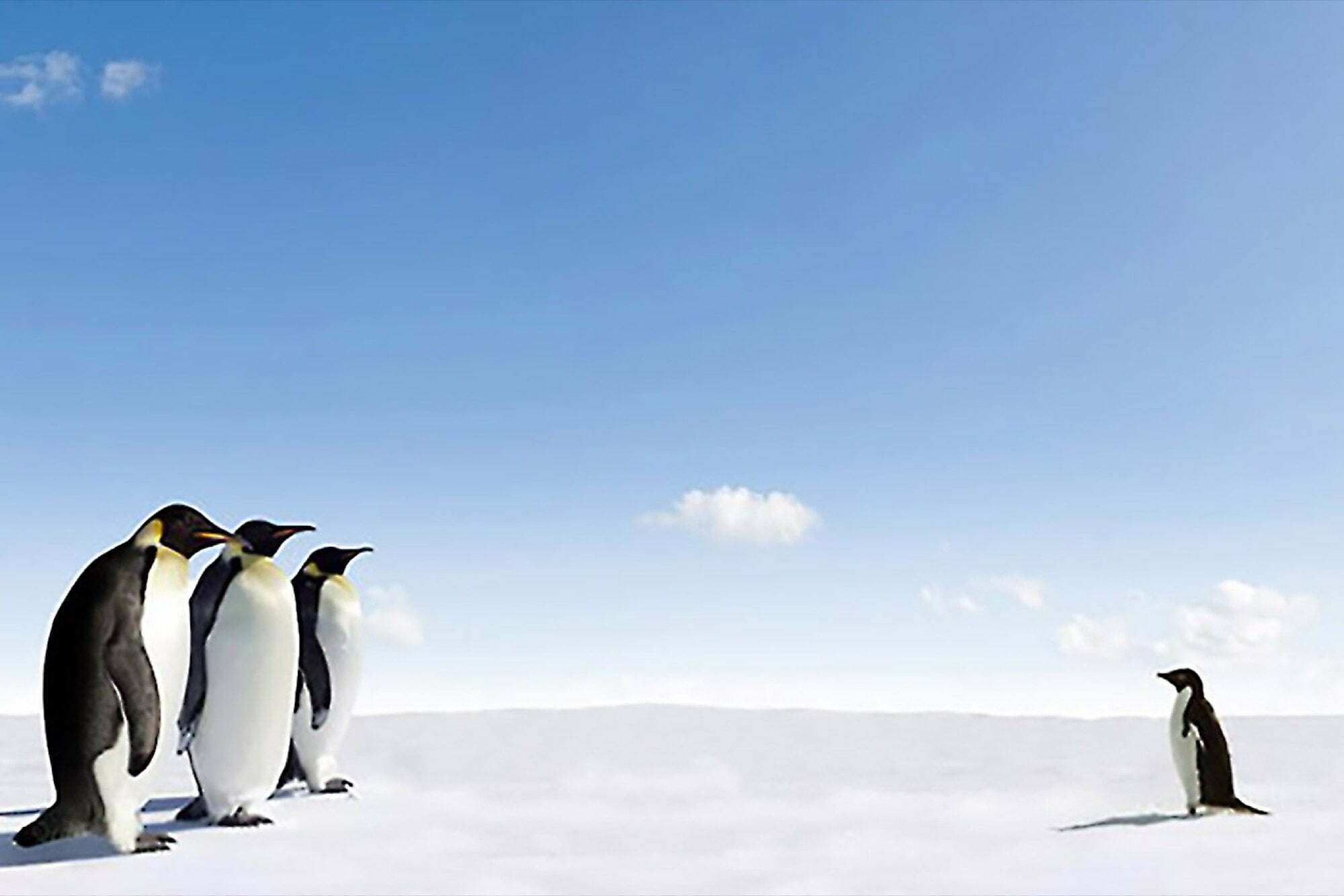 Photo of Renting out your house? Follow these expert pointers