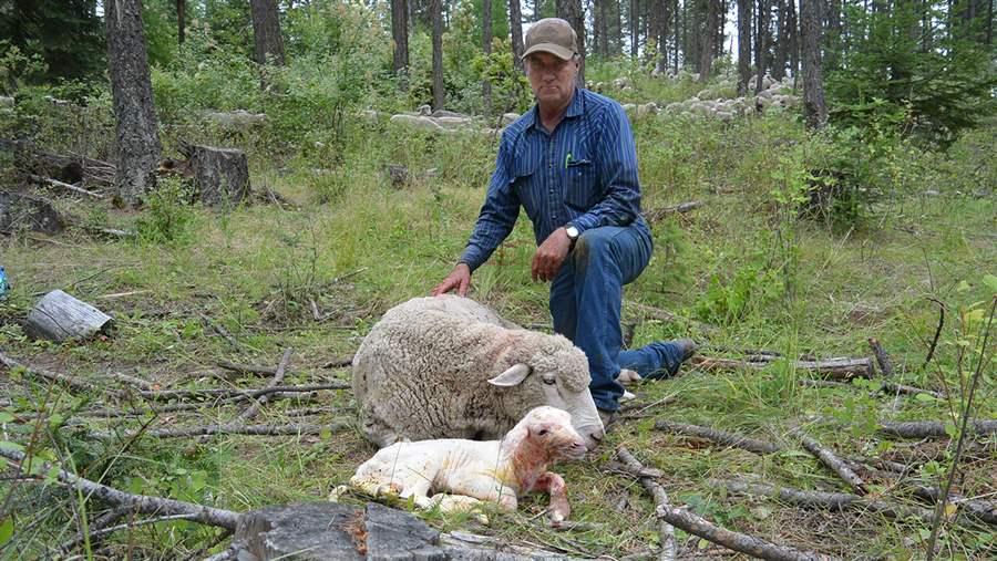 Photo of Confirmation sets Montana’s exterior in crosshairs