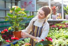 Photo of Which Gardening Tools Are the Best for Your Garden?