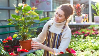 Photo of Which Gardening Tools Are the Best for Your Garden?