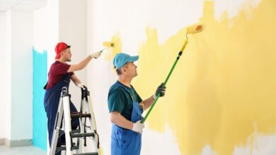 Photo of House Painting in Seattle – What Are The Pros and Cons?