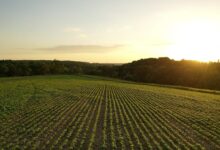 Photo of Finding Your Perfect Property with a Farm Real Estate Company in Grant County, WI