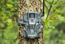 Photo of All about a trail camera
