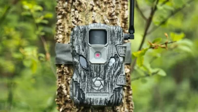 Photo of All about a trail camera